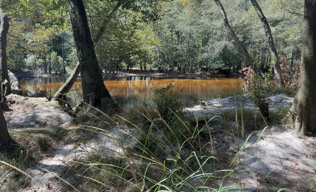 Lumber River State Park, Robeson County